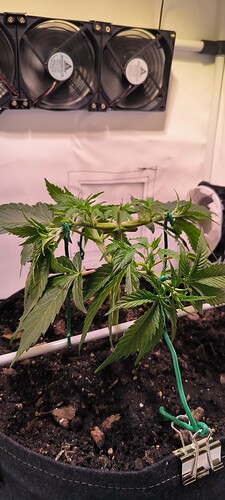 Growreport Bild 12