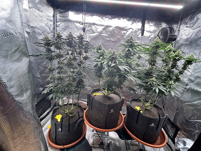 Growreport Bild 2
