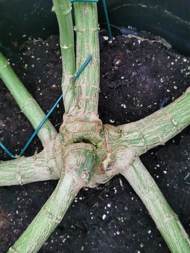 Growreport Bild 8