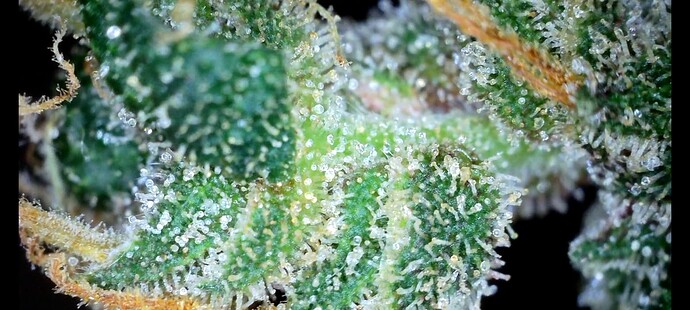 Screenshot_20240716_174122_Gallery