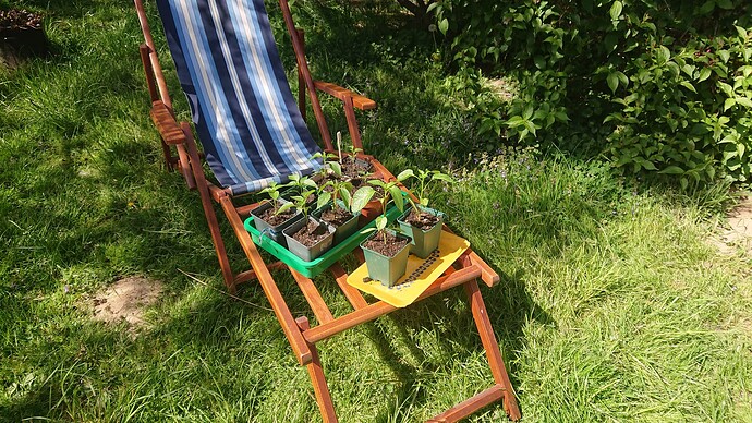 Growreport Bild 27