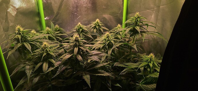 Growreport Bild 10