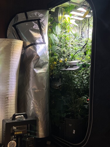 Growreport Bild 22