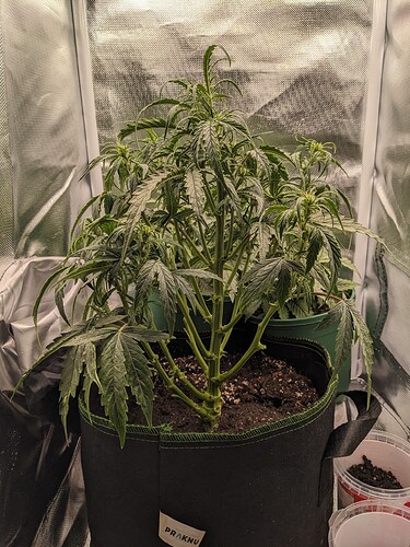 PXL_20240519_230055249