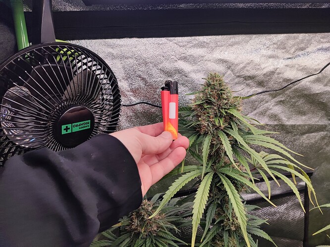 Growreport Bild 29