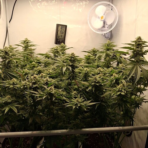 476178136_122166754154293599_5348235799290856836_n