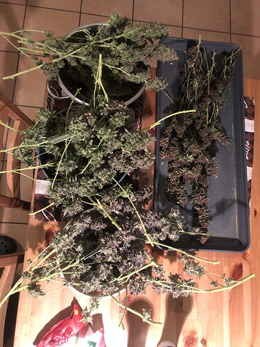 Growreport Bild 12