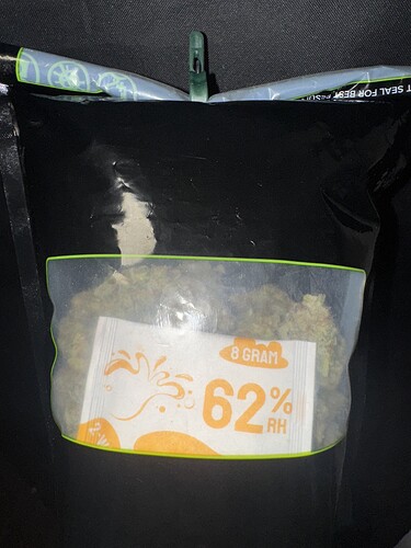 Growreport Bild 12