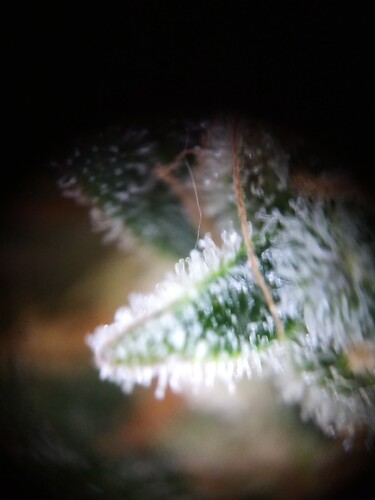 Growreport Bild 17