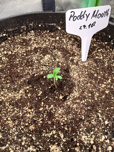 Growreport Bild 3