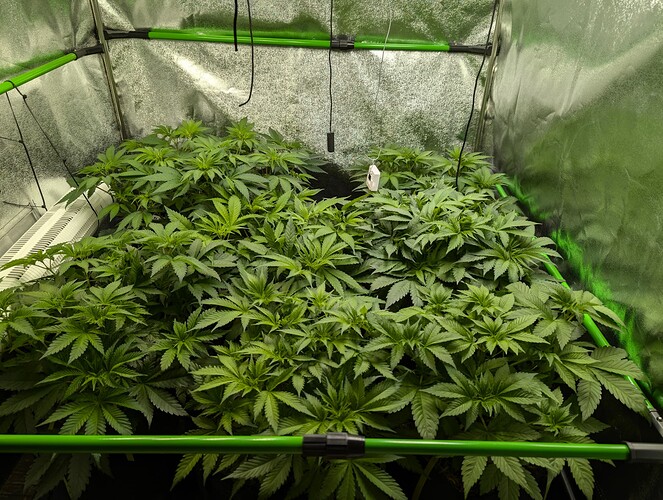 Growreport Bild 6