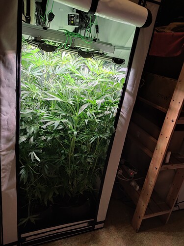 Growreport Bild 10