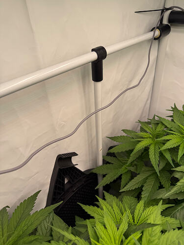 Growreport Bild 11