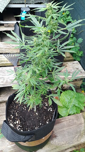 Growreport Bild 10
