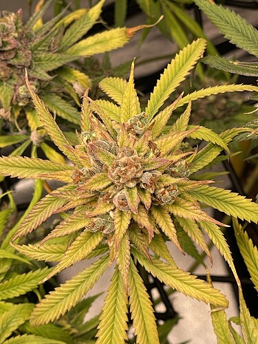 Growreport Bild 23