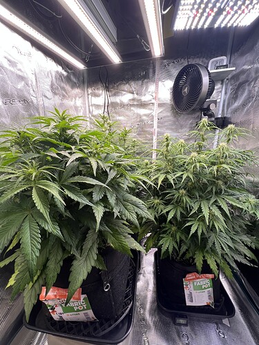 Growreport Bild 15