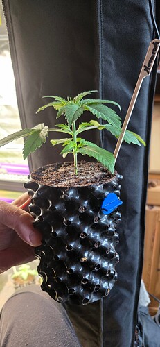 Growreport Bild 13