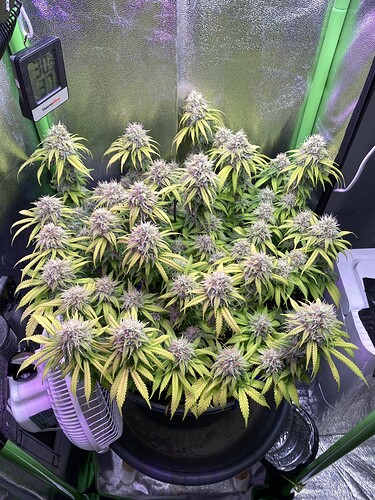 Growreport Bild 110