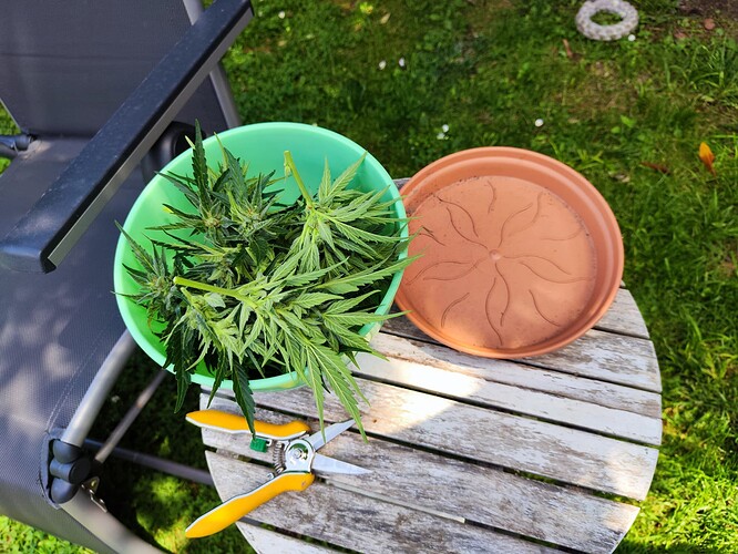 Growreport Bild 14