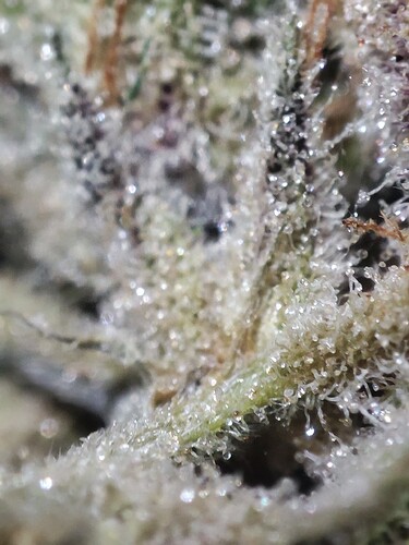 Growreport Bild 10