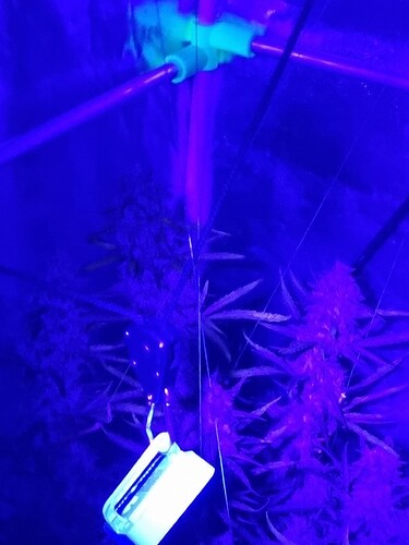 Growreport Bild 25