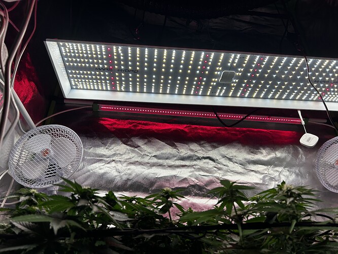 Growreport Bild 22