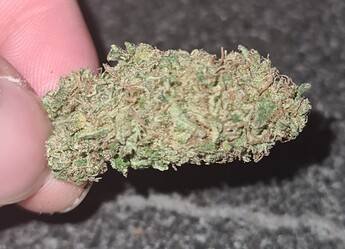 Growreport Bild 134
