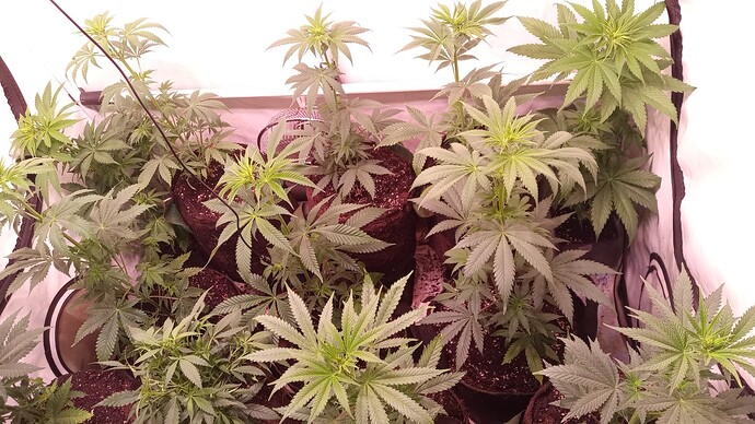 Growreport Bild 13