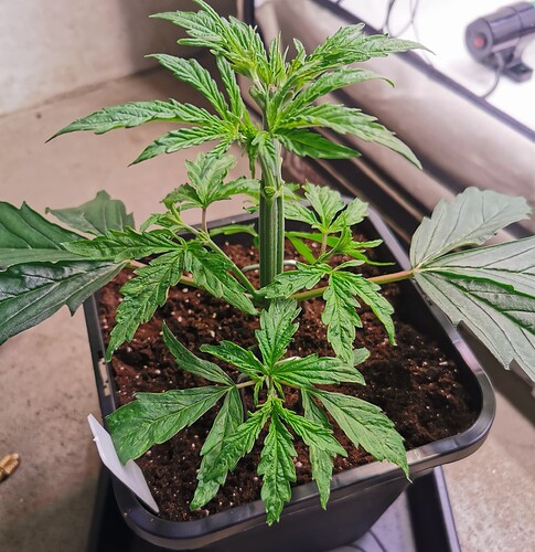 Growreport Bild 9