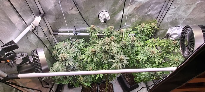 Growreport Bild 31