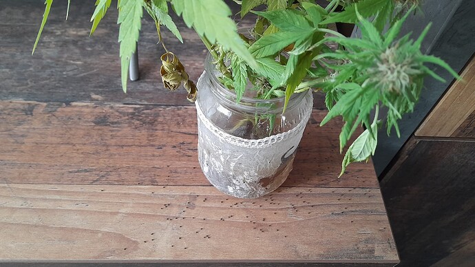 Growreport Bild 3