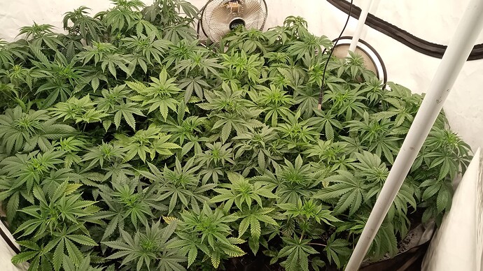 Growreport Bild 8
