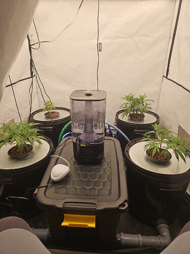 Growreport Bild 11