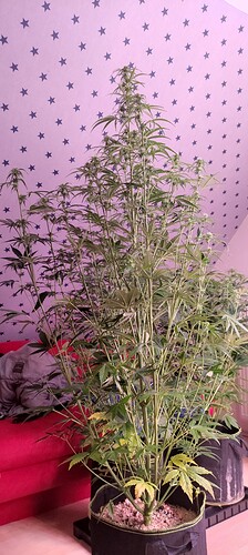 Growreport Bild 22
