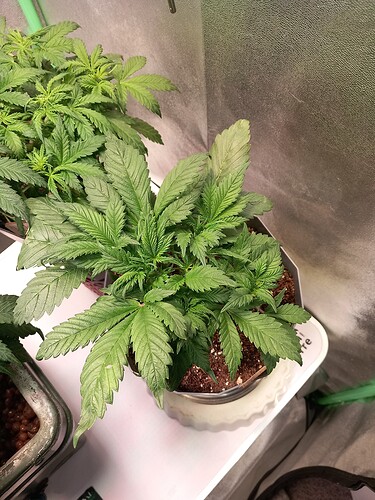 Growreport Bild 10