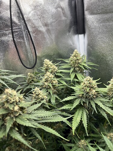 Growreport Bild 6