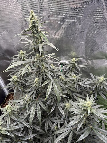 Growreport Bild 22