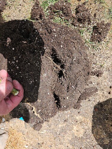 Growreport Bild 13