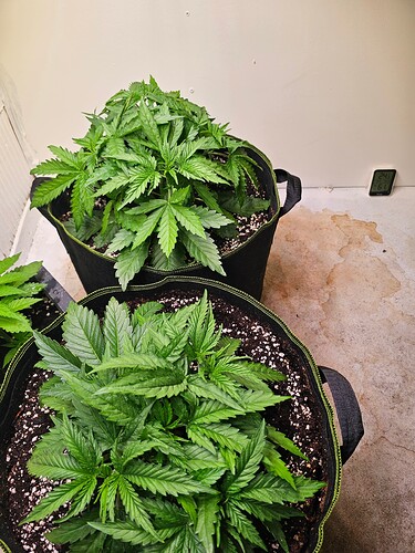Growreport Bild 7