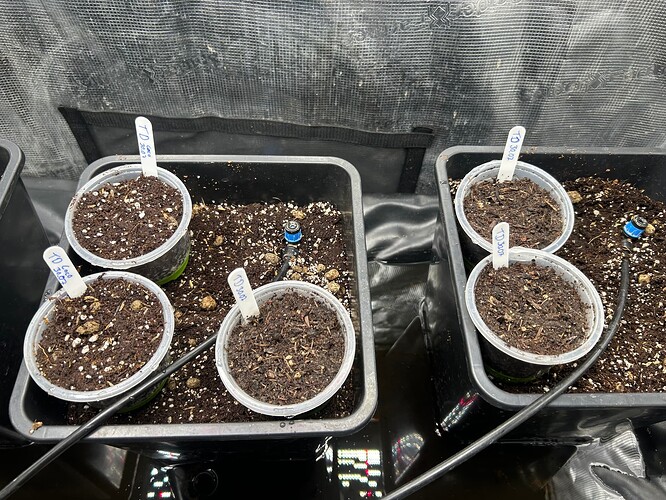 Growreport Bild 83