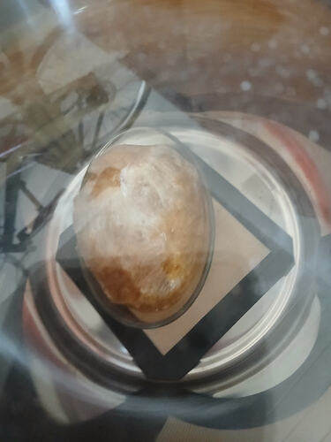 1000062585