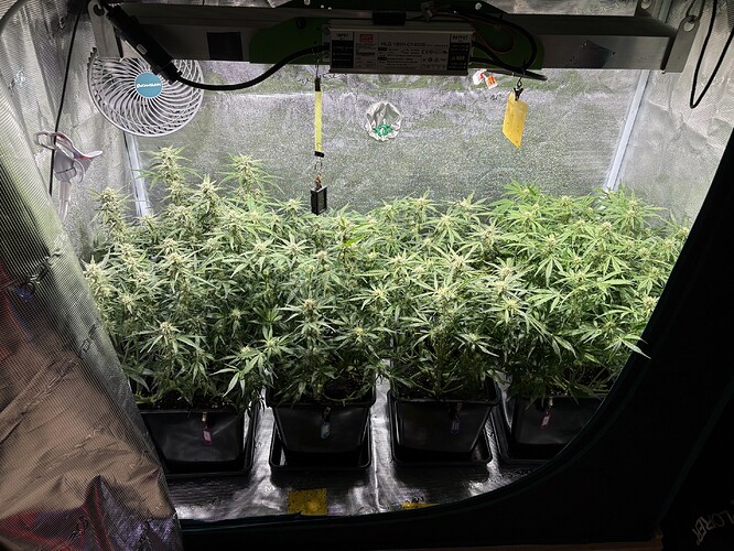 Growreport Bild 1