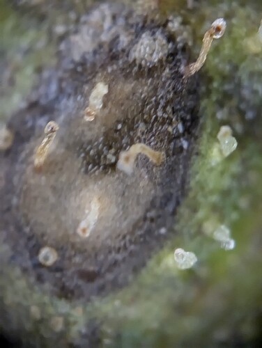 PXL_20240803_115205498