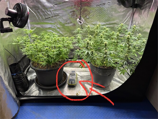 Growreport Bild 37