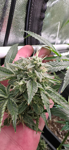 Growreport Bild 14
