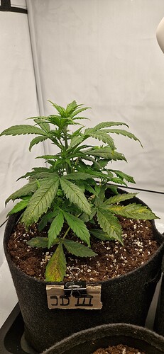 Growreport Bild 4