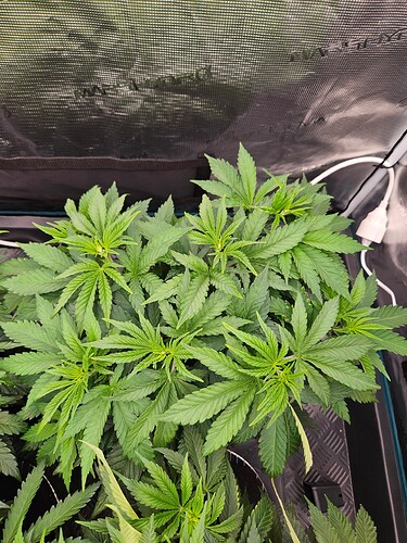 Growreport Bild 4