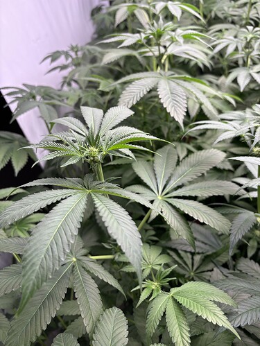 Growreport Bild 26