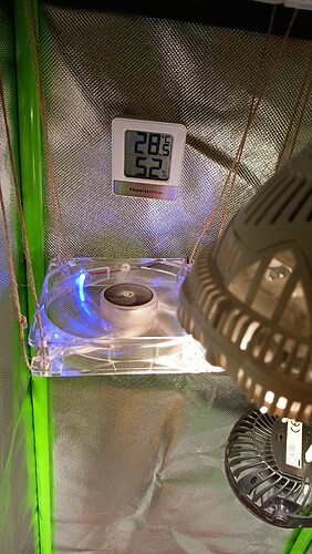 Growreport Bild 31