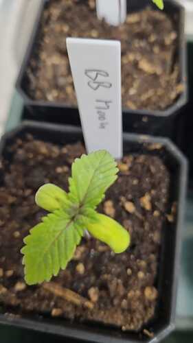 WhatsApp Image 2024-10-30 at 18.09.33